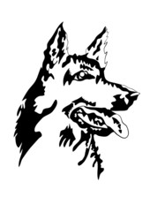Vector illustration of german shepherd