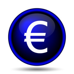 Euro icon