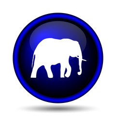 Elephant icon