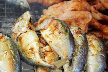 A lot of mackerel on the grill