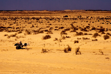 Fototapeta na wymiar people in the desert of sahara