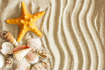 Fototapeta na wymiar Starfish And Shells.