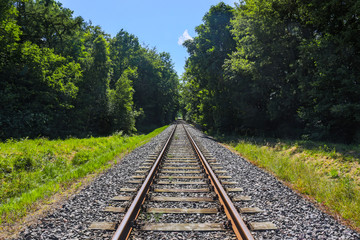 Fototapeta premium Gleise