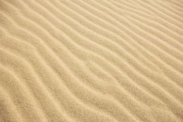 Fototapeta na wymiar Sand Texture.