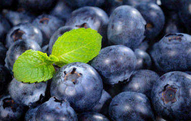 Blueberries fruit