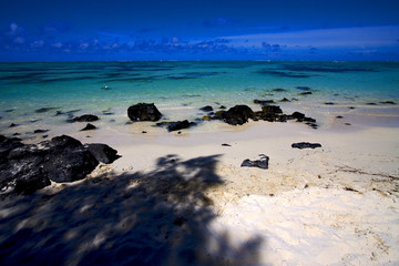 Fototapeta premium shadow in ile du cerfs