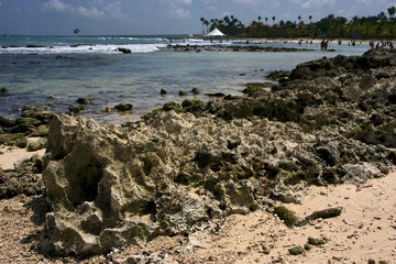Fototapeta na wymiar stone cabin and palm in republica dominicana