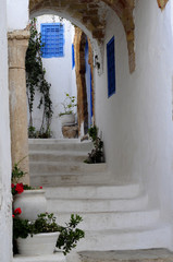 Street of Sidi Bou Said