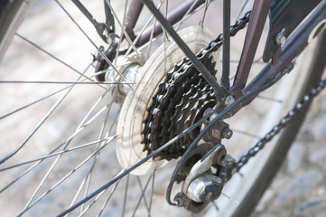 pinion of the rear wheel