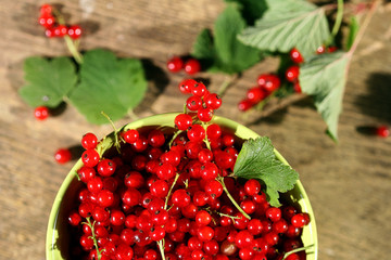 Fresh red currant in bowl on wooden background.