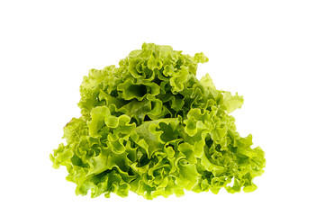 Green salad isolated on a white background
