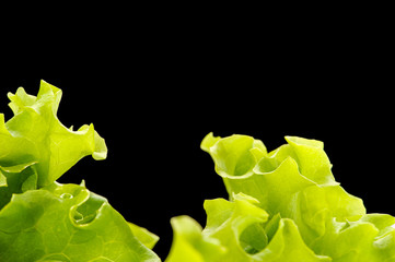 Fresh green salad isolated on black background