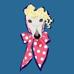 portrait of fashion dog