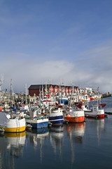Fototapeta na wymiar Fischerhafen von Andenes