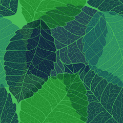 Seamless pattern of leaves
