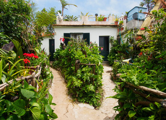 Madeira Garten