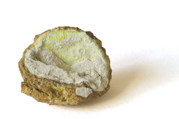 Autunite (fluorescent uranium ore) from Zambia. 6.6cm across.