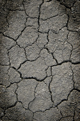 cracked ground for background
