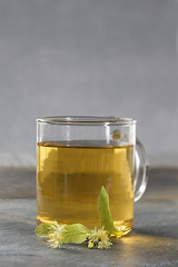 Tasse de tisane de  fleurs de tilleul fraîches