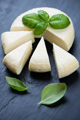 Sliced adygea cheese and fresh green basil, studio shot
