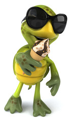 Fototapeta premium Turtle