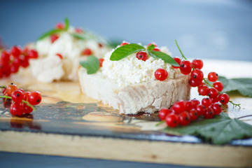sandwich with cheese and red currants