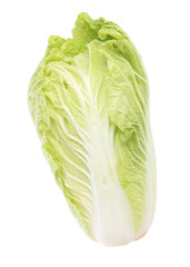 chinese cabbage isolated on white background