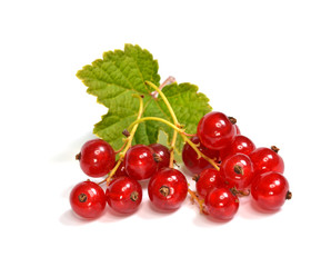 rote Johannisbeeren (Bio)