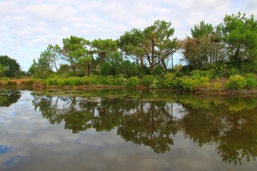 Le parc ornithologique du Teich, Gironde