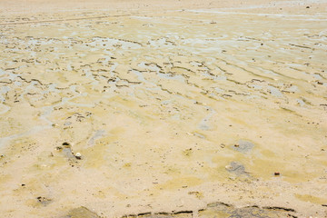 beach sand
