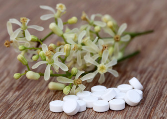 Fototapeta na wymiar Pills made from medicinal neem flower