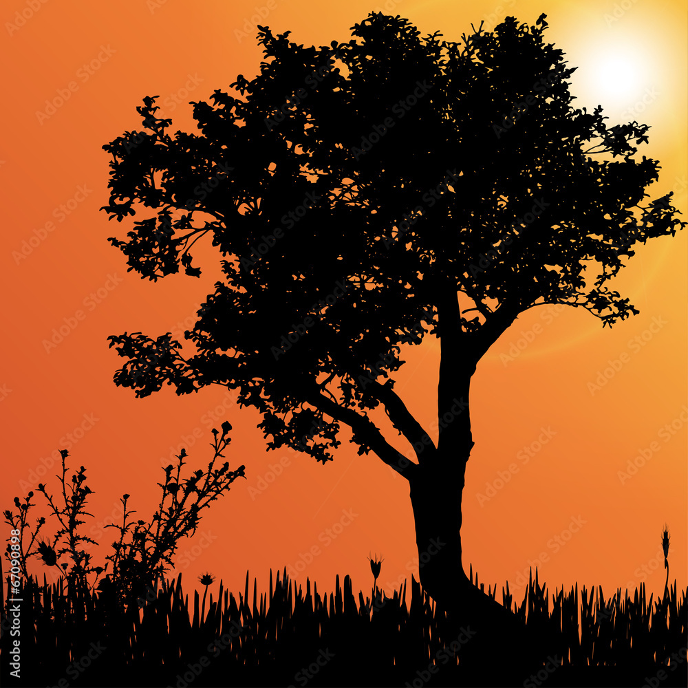 Wall mural vector silhouette of tree.