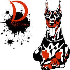 vector dog Doberman Pinscher breed