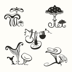 mushrooms