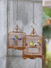 Yuen Po Street Bird Garden