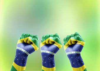 Comoração da Torcida Brasileira © AGPhotography