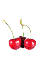 Ripe red cherry berries