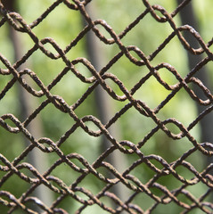 Fototapeta premium Detail of an old rusting chain fence