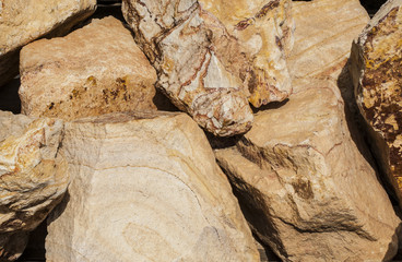 in a shore of a beach