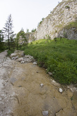 górski potok w malowniczej dolinie