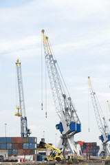 Fototapeta na wymiar big cranes in dutch harbor