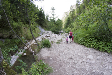 górski potok w malowniczej dolinie © Piotr Szpakowski