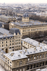 Fototapeta na wymiar Aerial View of Paris. Traditional View