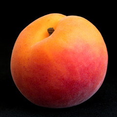 Single ripe apricot on black background