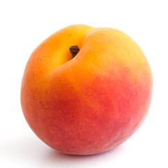 Single ripe apricot on white background