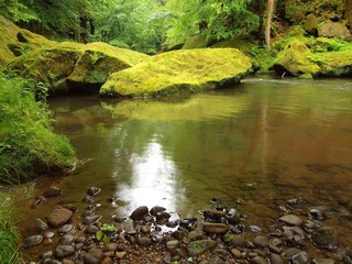 Mountain river with big mossy boulders in stream. Green branches