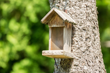 Small Bird House On Tree