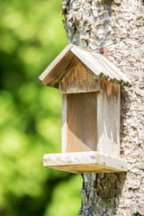 Small Bird House On Tree