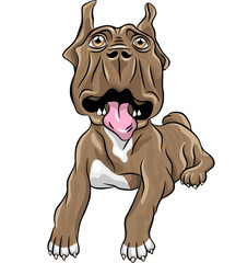 vector sketch puppy Dogo Canario breed lying