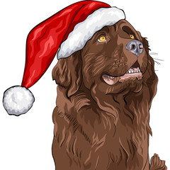 vector dog Newfoundland in a Christmas hat of Santa Claus